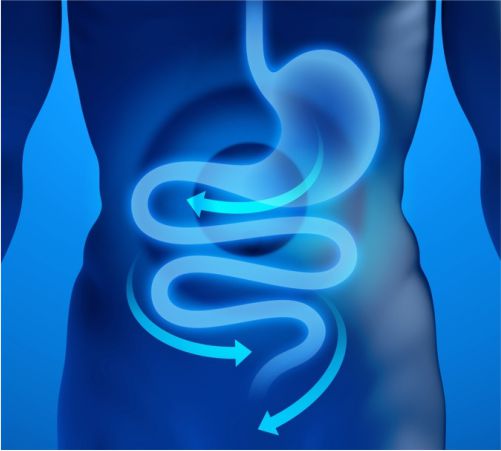Centro Médico Medex | Gastroenterología