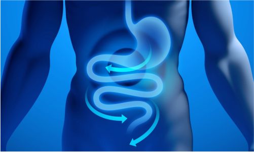 Centro Médico Medex | Gastroenterología