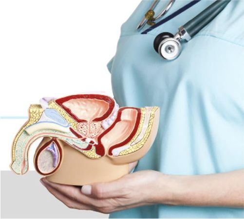 Centro Médico Medex | Urología
