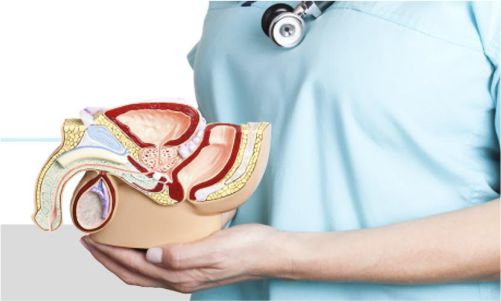 Centro Médico Medex | Urología